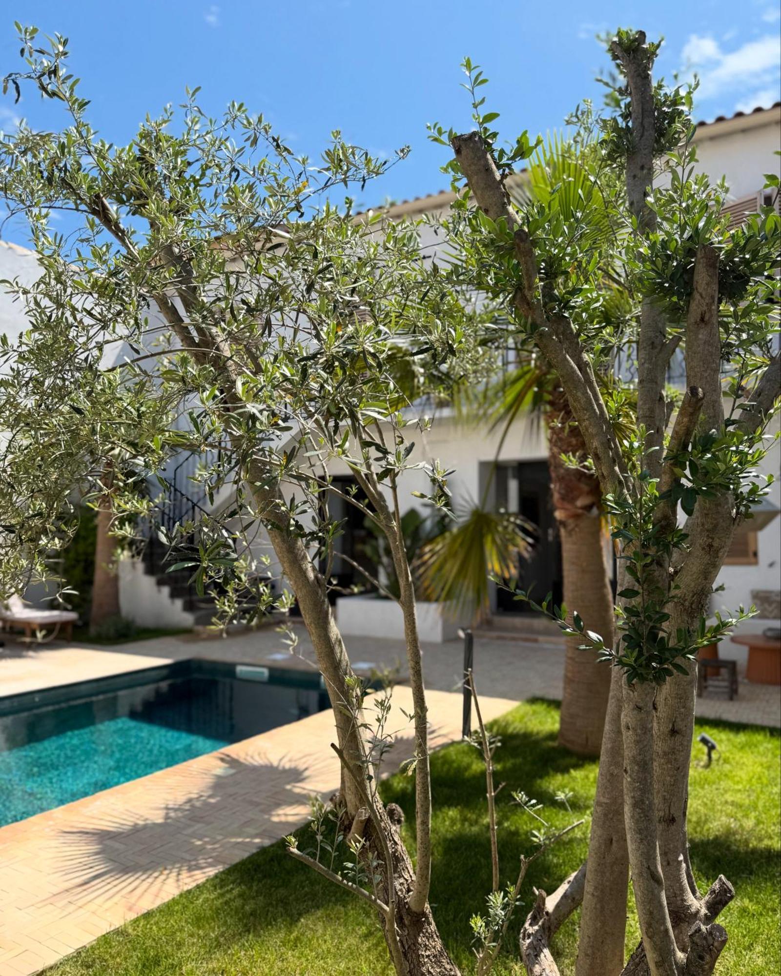 La Maison De Ville - Piscine - Spa Sète Esterno foto